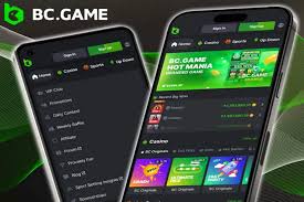 Exploring the Exciting World of BC.Game Online Platform