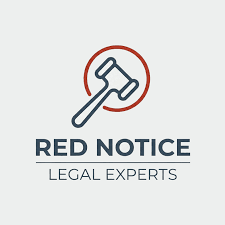 Understanding the Role of Interpol Defense Lawyers 1338518504