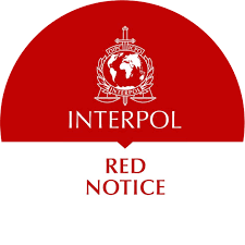 Understanding the Role of Interpol Defense Lawyers 1338518504